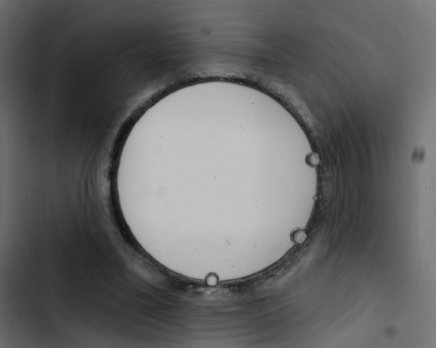X0000103910395200809191124