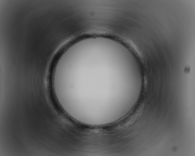 X0000103910396200809191124
