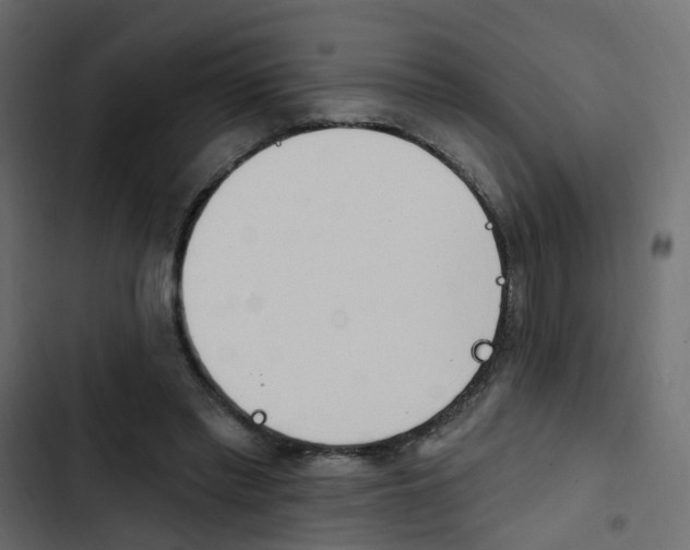 X0000103910397200809191124
