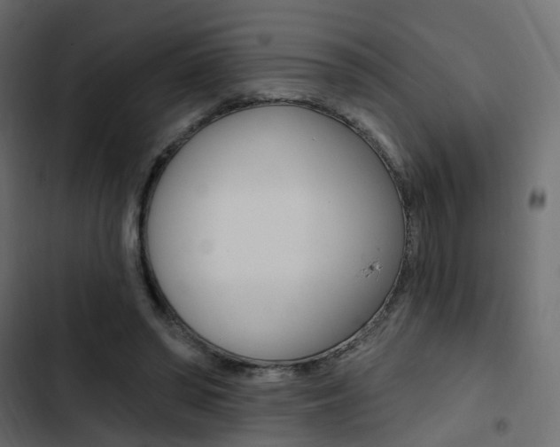 X0000103910398200809191124