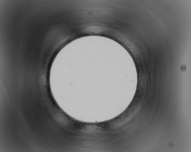 X0000103910399200809191124
