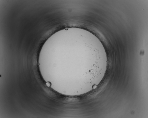 X0000103910401200809191124