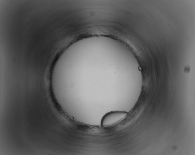 X0000103910402200809191124
