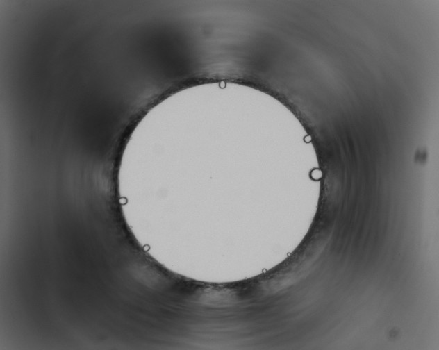 X0000103910403200809191124