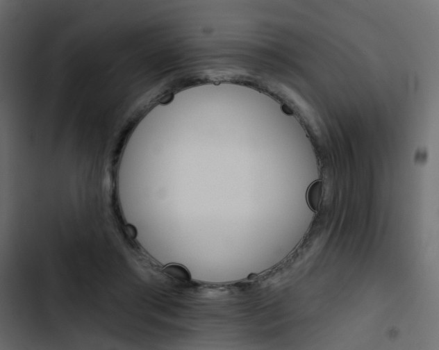 X0000103910405200809191124