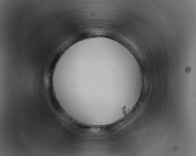 X0000103910406200809191124