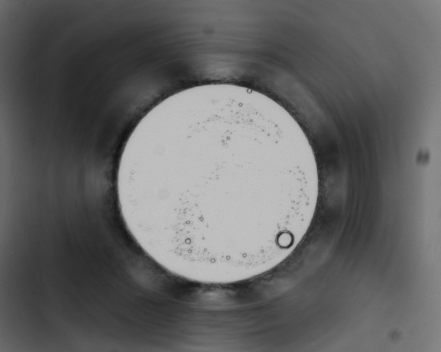 X0000103910407200809191124