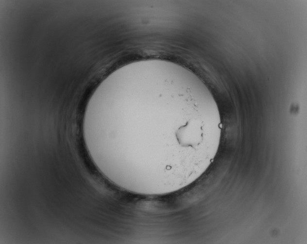 X0000103910408200809191124
