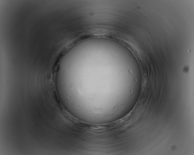 X0000103910411200809191124