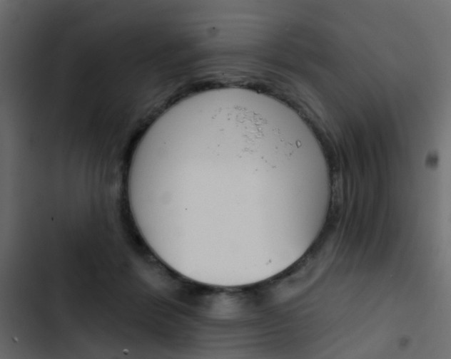 X0000103910412200809191124
