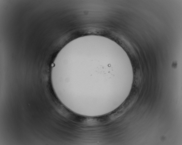 X0000103910413200809191124