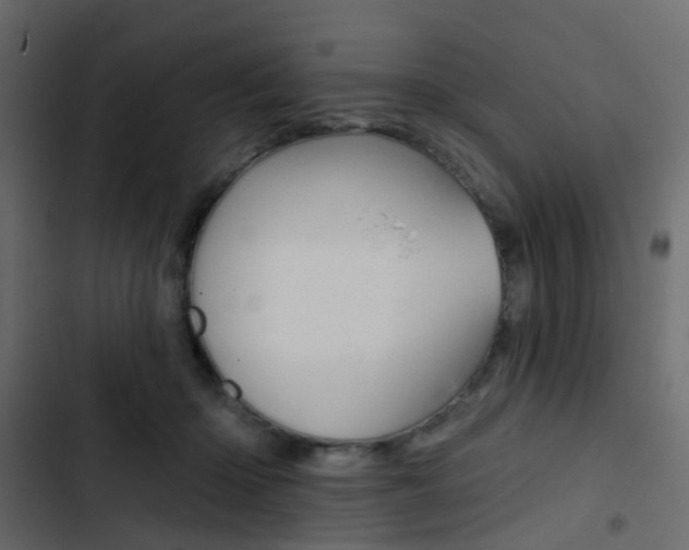 X0000103910414200809191124