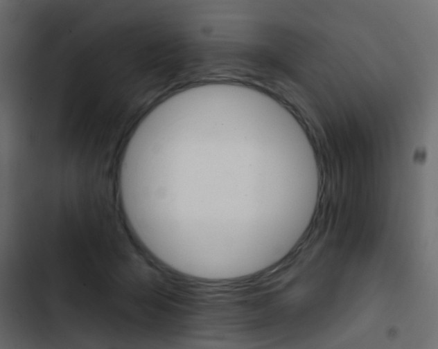 X0000103910415200809191124