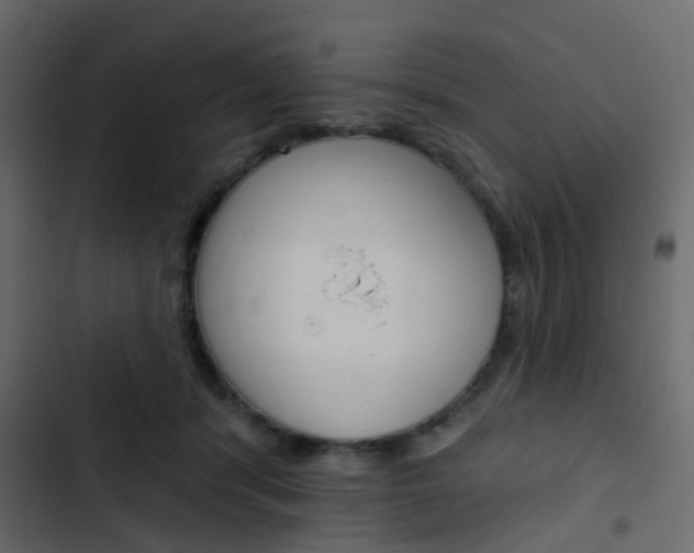 X0000103910416200809191124