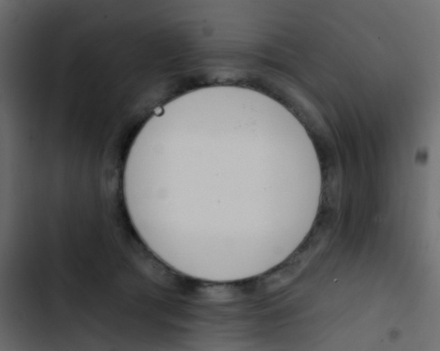 X0000103910417200809191124