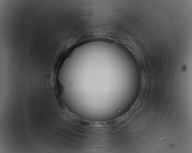 X0000103910419200809191124