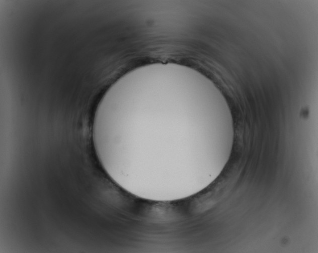 X0000103910420200809191124