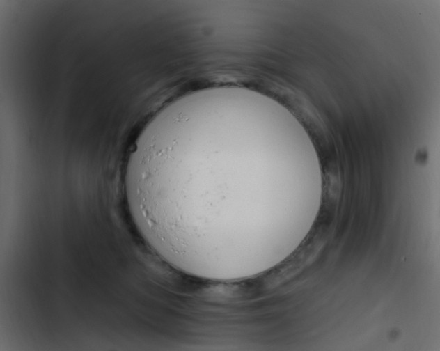 X0000103910422200809191124