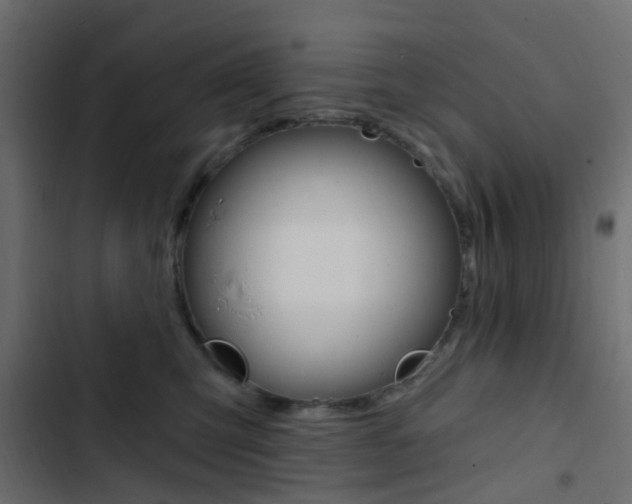 X0000103910423200809191124