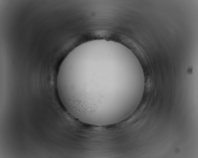 X0000103910424200809191124