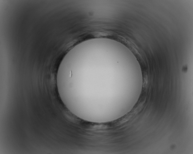 X0000103910426200809191124