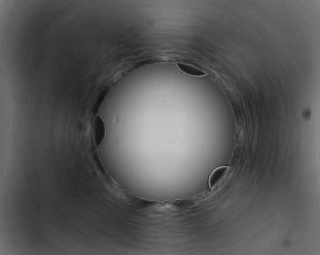 X0000103910427200809191124