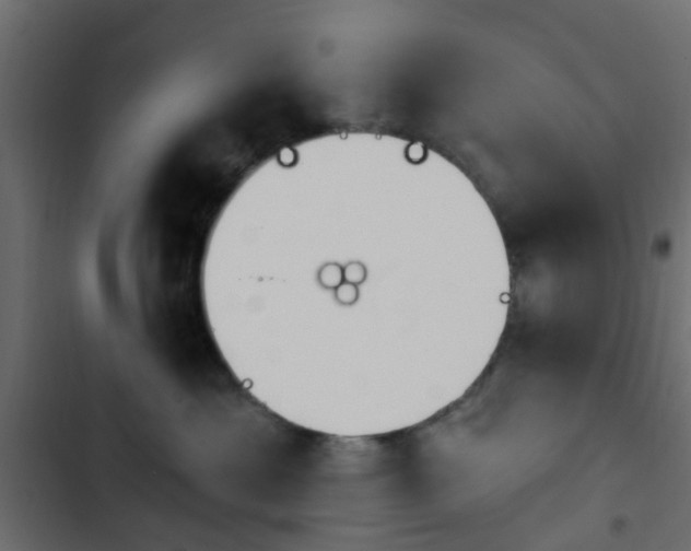 X0000103910429200809191124