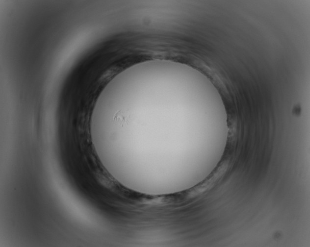 X0000103910430200809191124