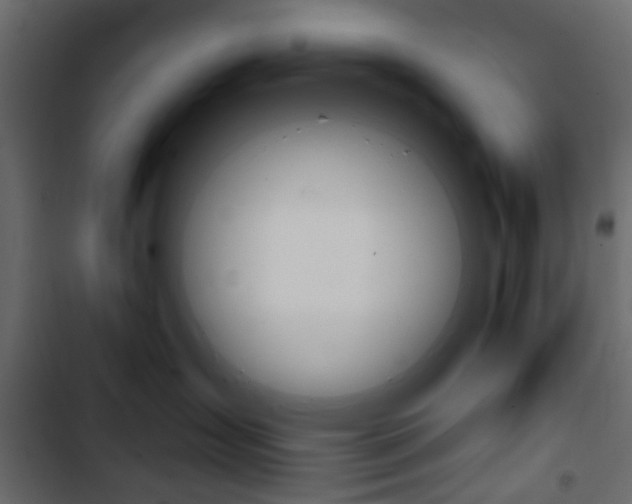 X0000103910431200809191124