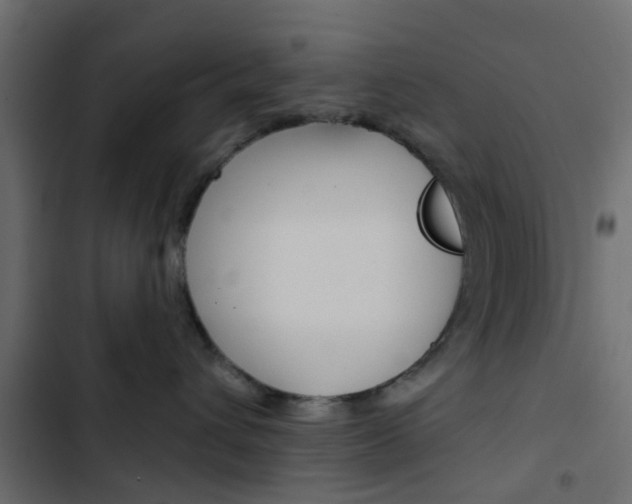 X0000103910432200809191124