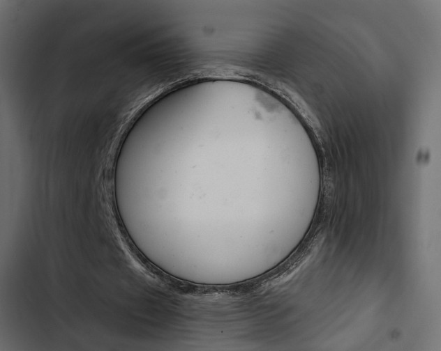 X0000103910433200809191123