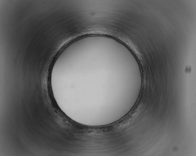 X0000103910434200809191123