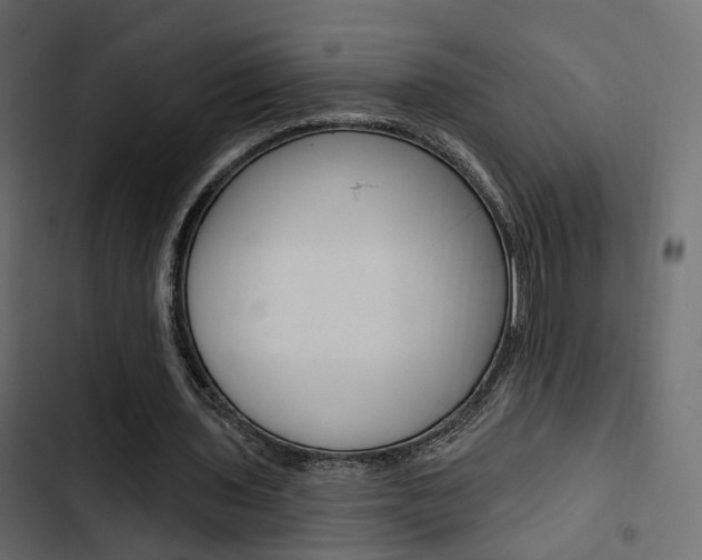 X0000103910435200809191123