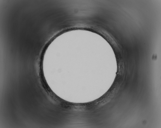 X0000103910436200809191123