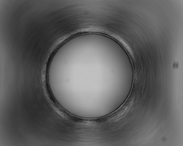 X0000103910437200809191123