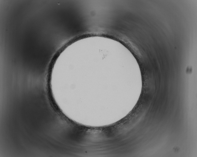 X0000103910440200809191123