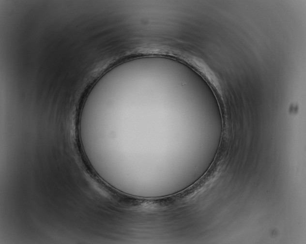 X0000103910441200809191123