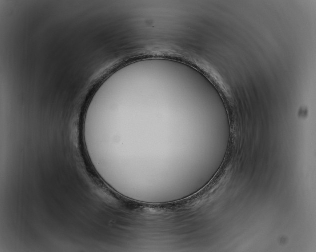 X0000103910442200809191123