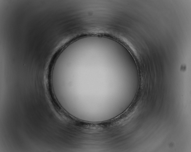 X0000103910443200809191123