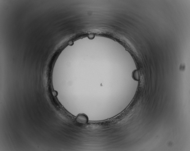 X0000103910444200809191123