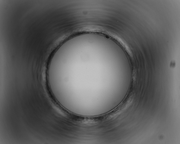 X0000103910445200809191123