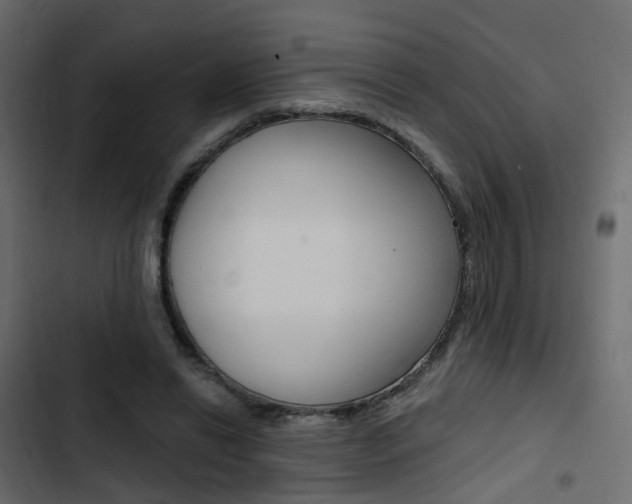 X0000103910446200809191123