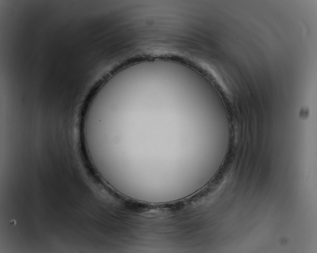 X0000103910447200809191123