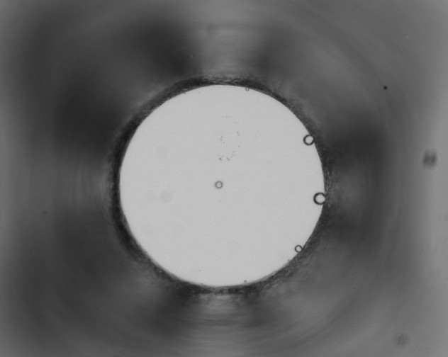 X0000103910448200809191123