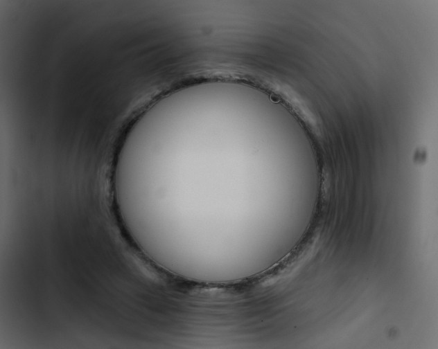 X0000103910449200809191123