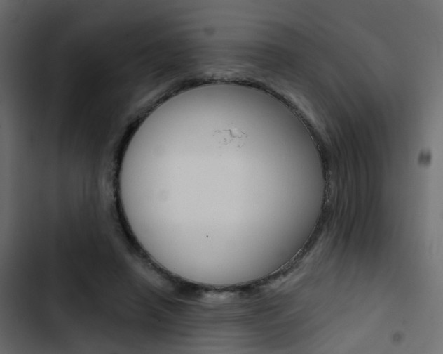 X0000103910450200809191123