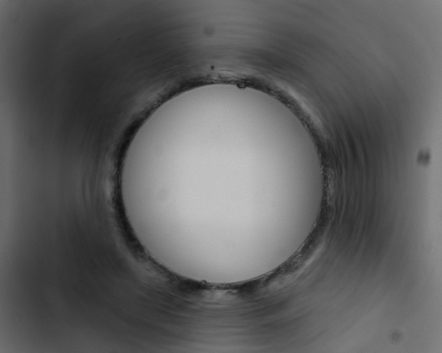 X0000103910451200809191123
