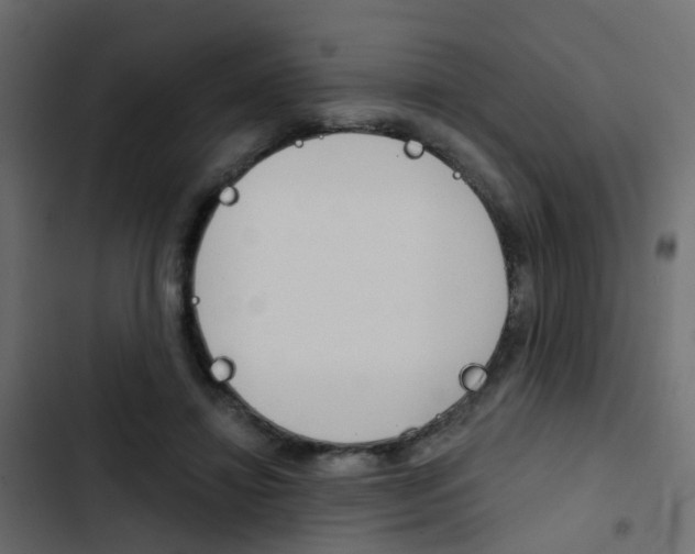 X0000103910452200809191123