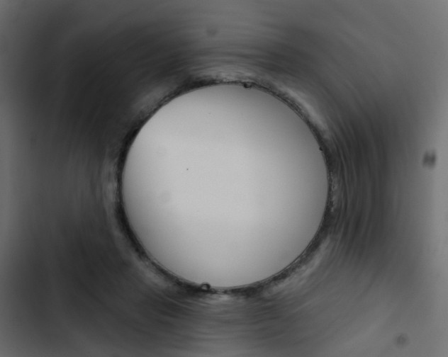 X0000103910453200809191123