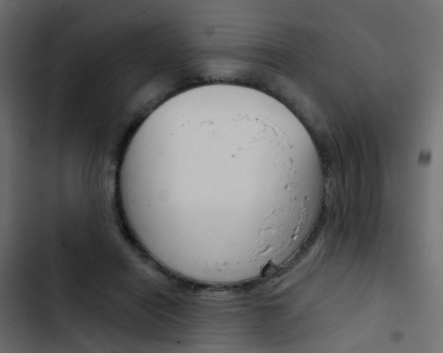 X0000103910454200809191123